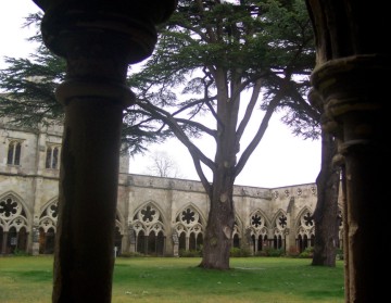 alternate text to name file